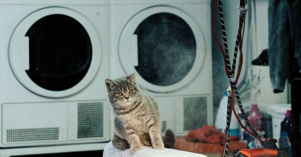 Free stock photo of 2026 wallpaper, 4 k wallpaper, 4k wallpaper